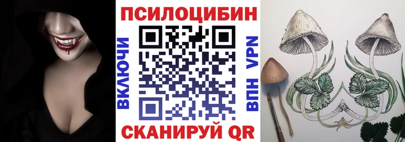 Галлюциногенные грибы Psilocybine cubensis Грязовец